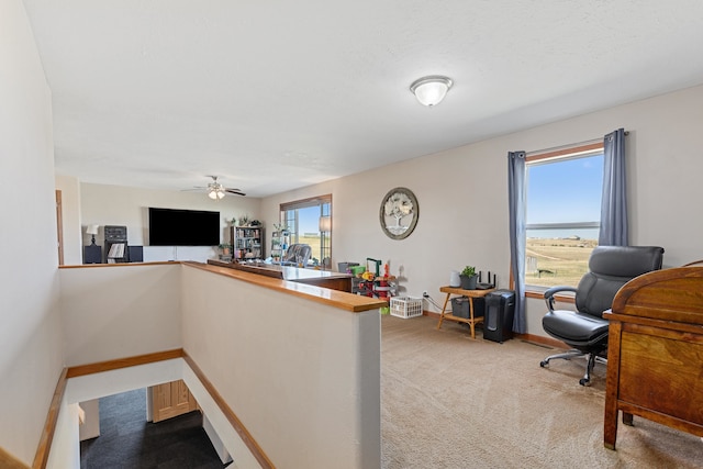 carpeted office with a wealth of natural light and ceiling fan