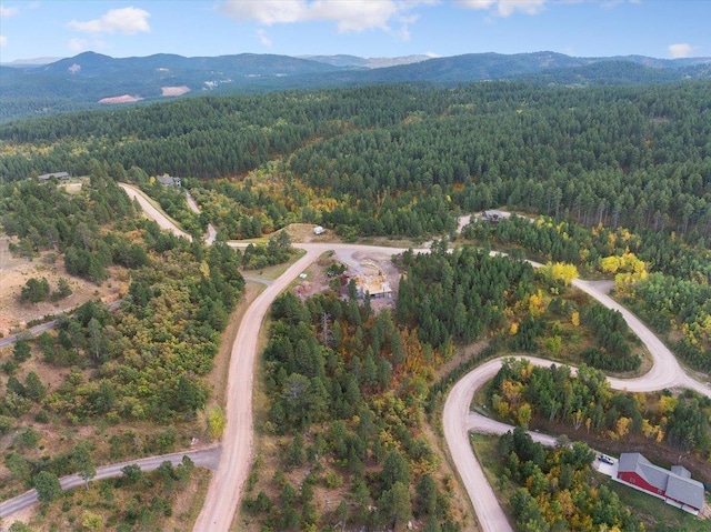 drone / aerial view featuring a mountain view