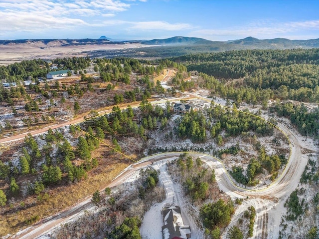 birds eye view of property featuring a mountain view