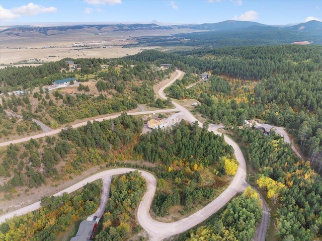 aerial view with a mountain view