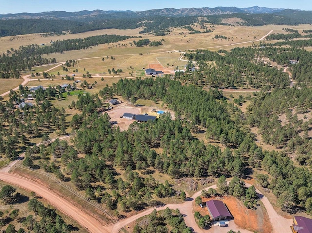 drone / aerial view with a mountain view