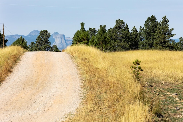 Listing photo 3 for TBD Bear Lodge Ranch Rd, Devils Tower WY 82714