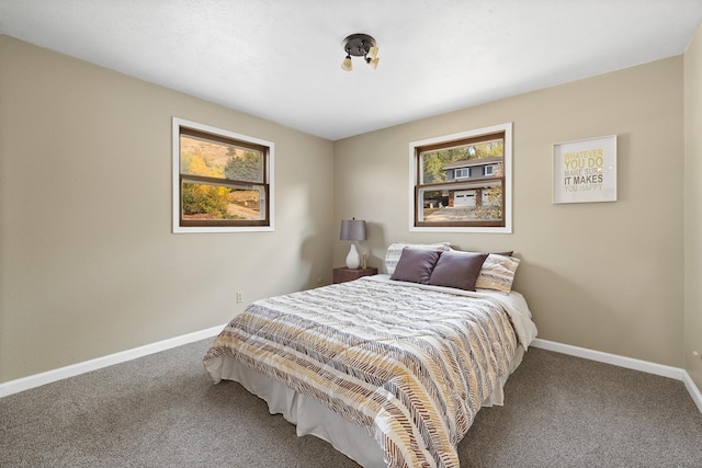 bedroom with multiple windows and carpet