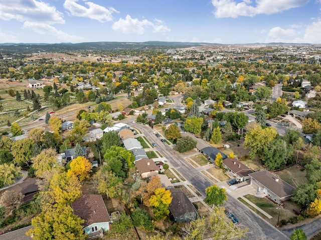 bird's eye view