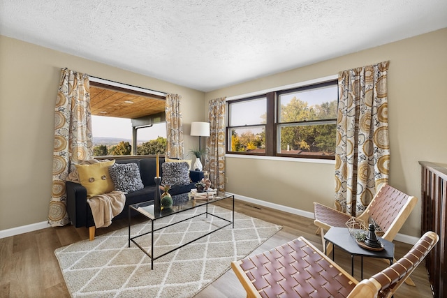 living room featuring hardwood / wood-style floors and a textured ceiling