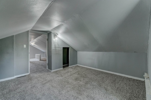 additional living space featuring lofted ceiling, carpet, and a textured ceiling