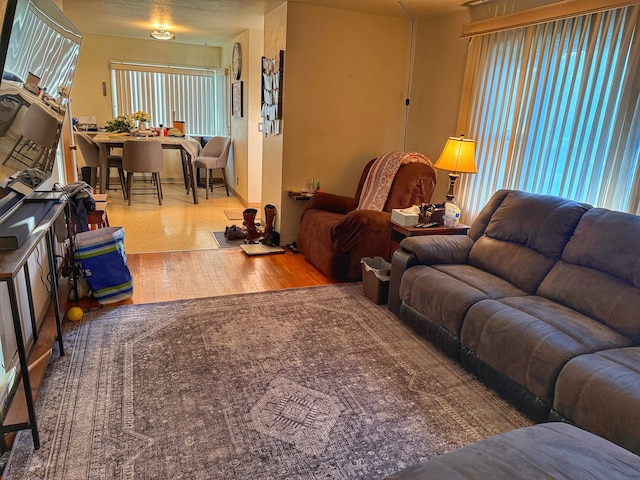 living room featuring hardwood / wood-style floors