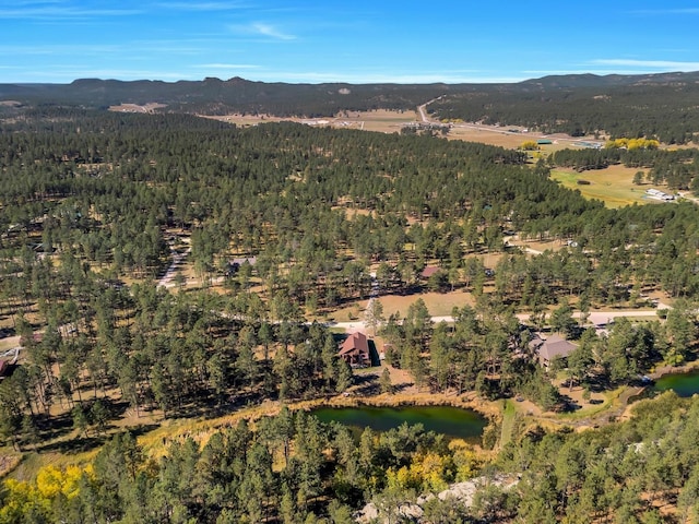 drone / aerial view featuring a mountain view