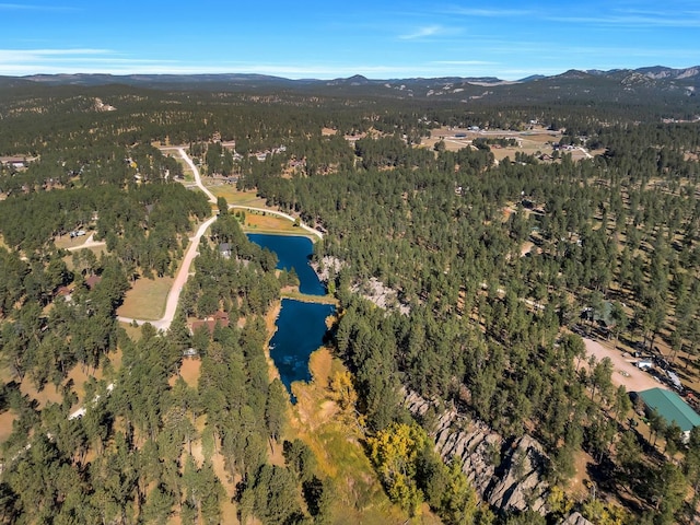 birds eye view of property with a water and mountain view