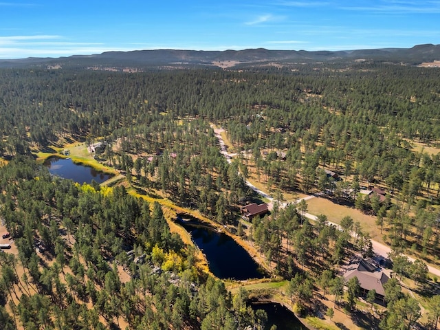 drone / aerial view featuring a water and mountain view