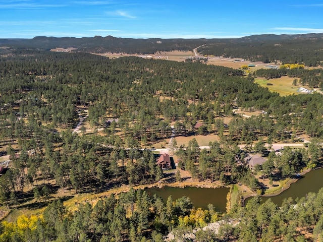 bird's eye view with a water and mountain view