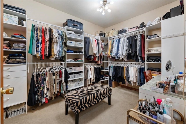 walk in closet with a chandelier and light colored carpet