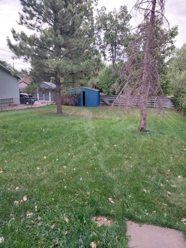 view of yard featuring a storage unit