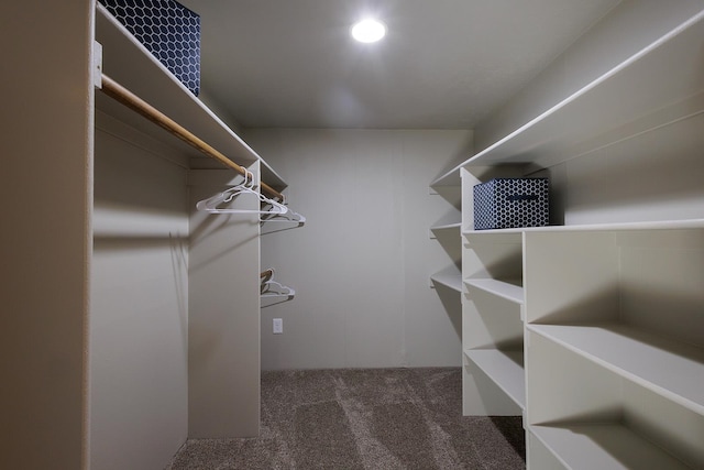 walk in closet with dark colored carpet