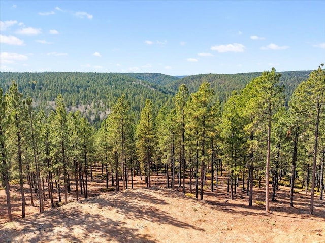 Listing photo 2 for MS.1749 Hidden Treasure Ln, Deadwood SD 57732