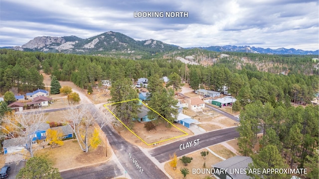 birds eye view of property with a mountain view