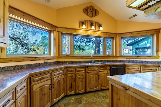 kitchen featuring lofted ceiling, a healthy amount of sunlight, sink, and black dishwasher