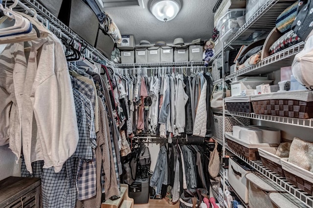 spacious closet with hardwood / wood-style floors