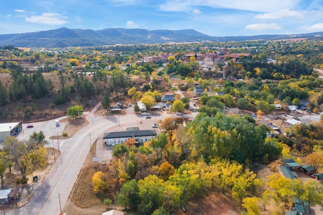 birds eye view of property with a mountain view