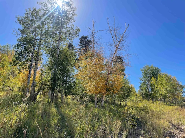 Listing photo 2 for LOT1 Majestic Heights Rd, Sturgis SD 57785