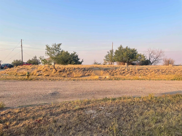 view of yard with a rural view