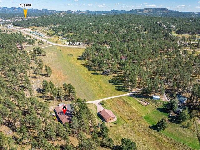 birds eye view of property with a mountain view