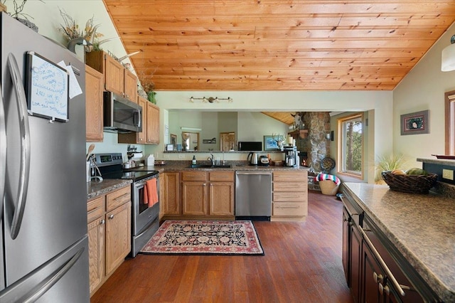 kitchen with appliances with stainless steel finishes, dark wood-type flooring, sink, and lofted ceiling