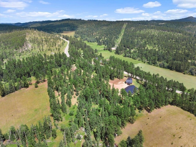 aerial view featuring a mountain view