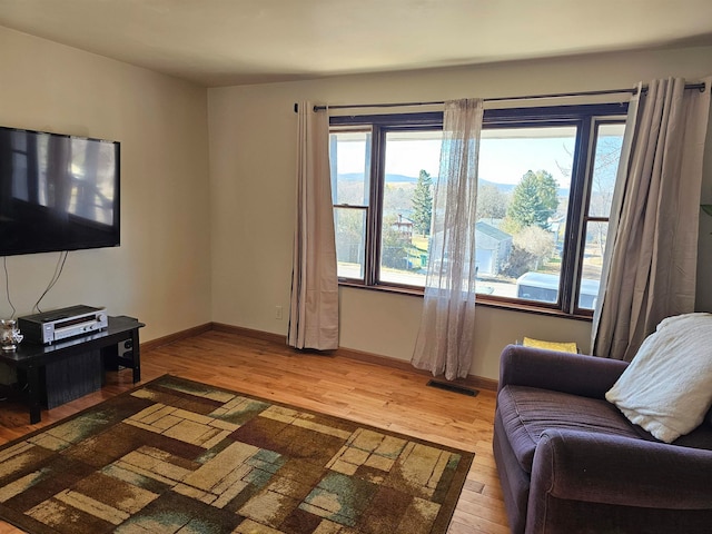 living room featuring light hardwood / wood-style floors