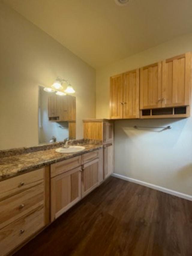 bathroom with hardwood / wood-style flooring and sink