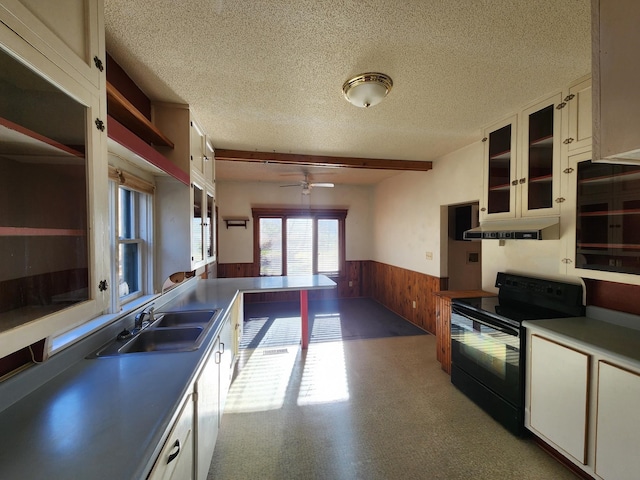 kitchen featuring a textured ceiling, black range with electric cooktop, and sink