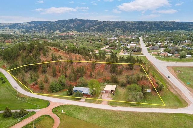 birds eye view of property featuring a mountain view