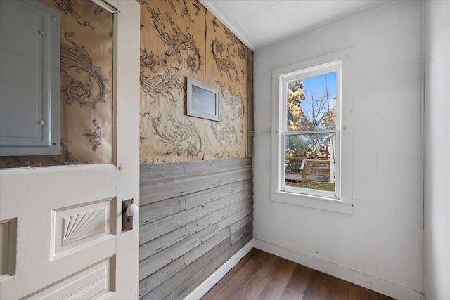 entryway with dark hardwood / wood-style flooring and electric panel