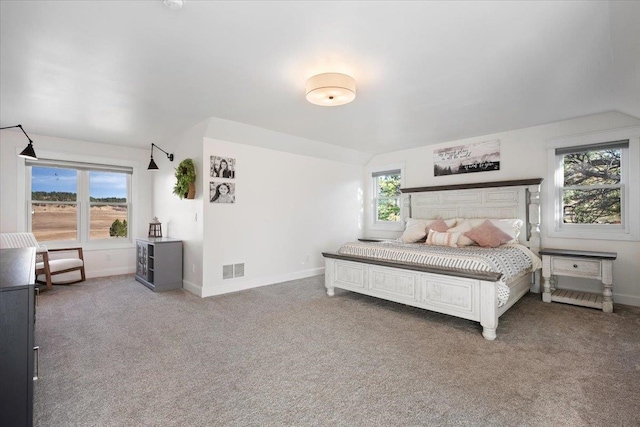 bedroom featuring carpet flooring and multiple windows