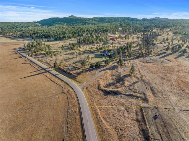 drone / aerial view featuring a mountain view