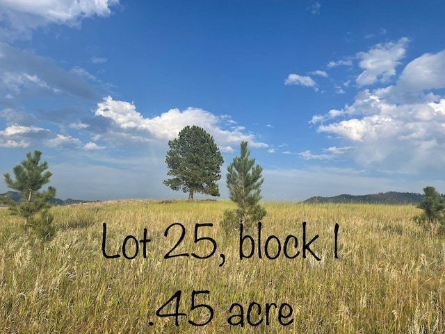 LOT25BLOCK1 Park Ave, Custer SD, 57730 land for sale