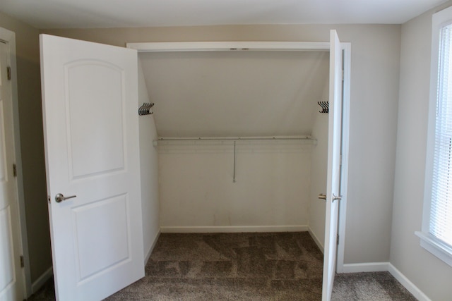 view of closet