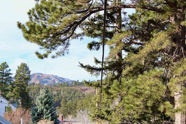 property view of mountains