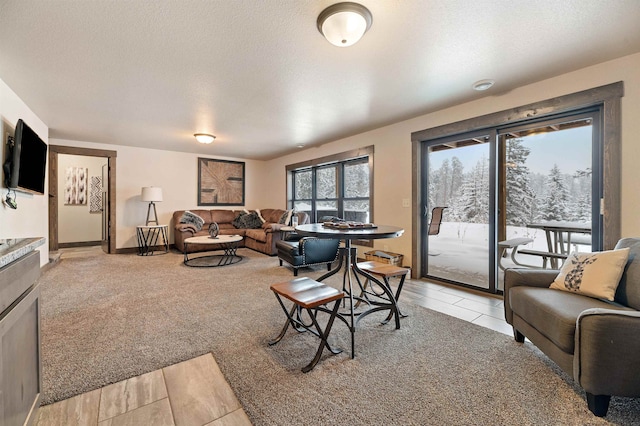 carpeted living room featuring a textured ceiling