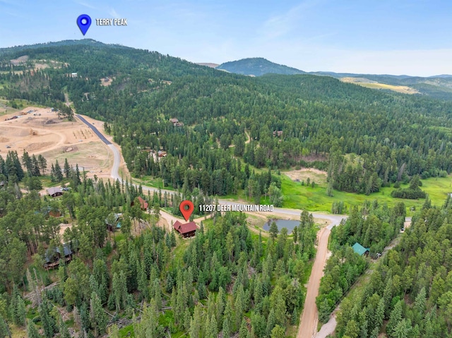 drone / aerial view featuring a mountain view