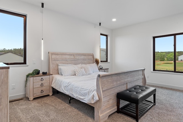 carpeted bedroom with multiple windows