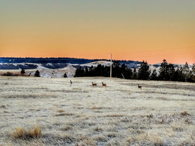 Listing photo 2 for 128 Limestone Pit Rd, Sundance WY 82729