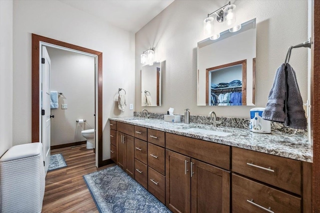 bathroom with vanity, wood-type flooring, and toilet