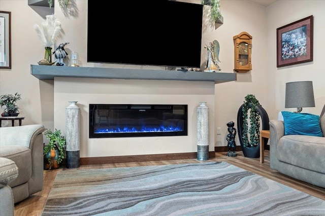 living room with wood-type flooring