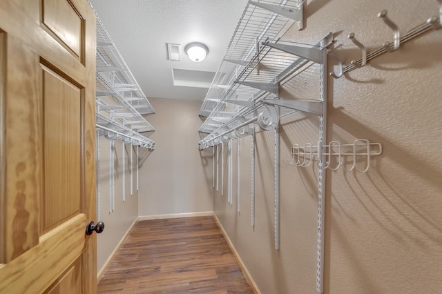 walk in closet with hardwood / wood-style flooring