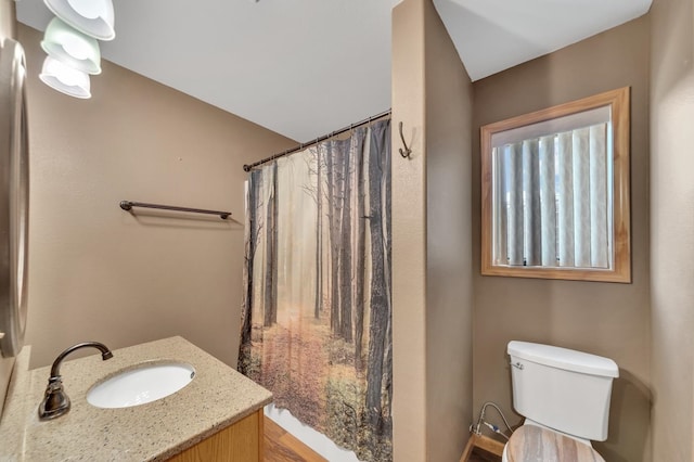 bathroom with curtained shower, vanity, and toilet