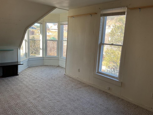 additional living space featuring light colored carpet, a wealth of natural light, and wood walls