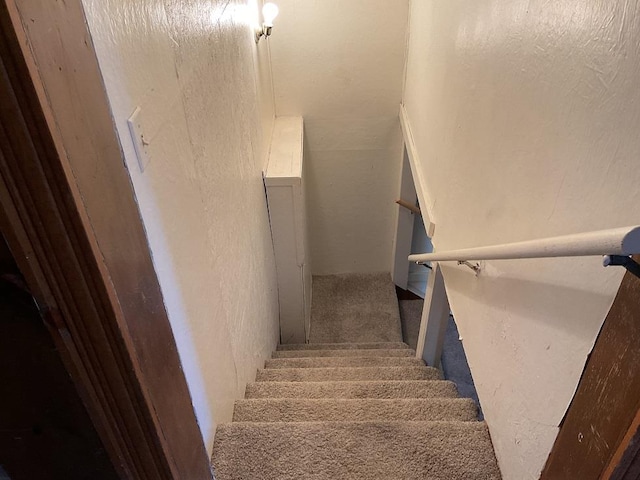 staircase featuring carpet flooring