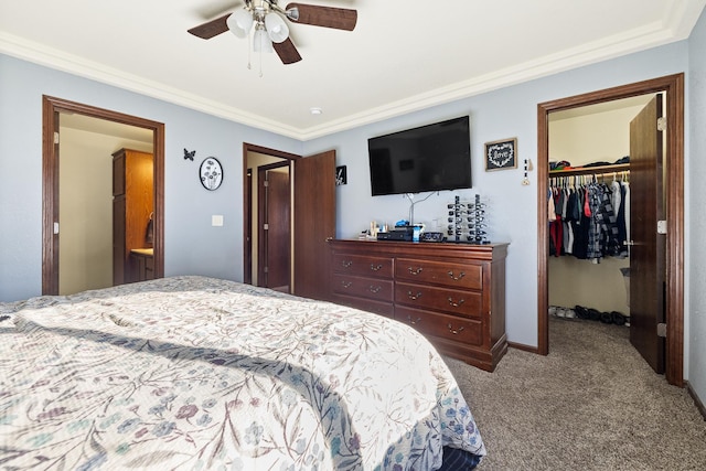 carpeted bedroom featuring ceiling fan, a spacious closet, crown molding, and a closet