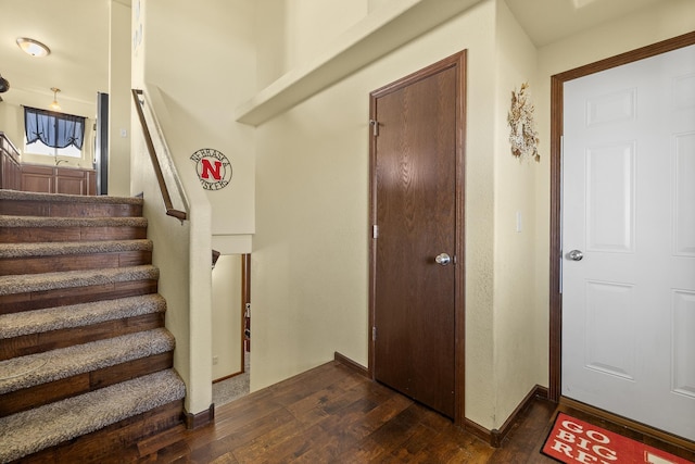 staircase with hardwood / wood-style flooring